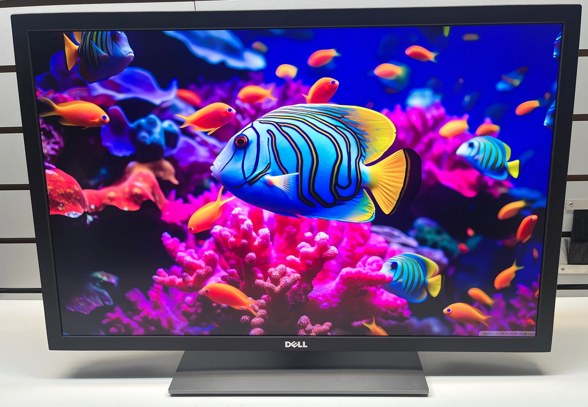 Dell UP3017 Monitor | Black | 30" WQXGA 2560 x 1600 | HDMI & DisplayPort