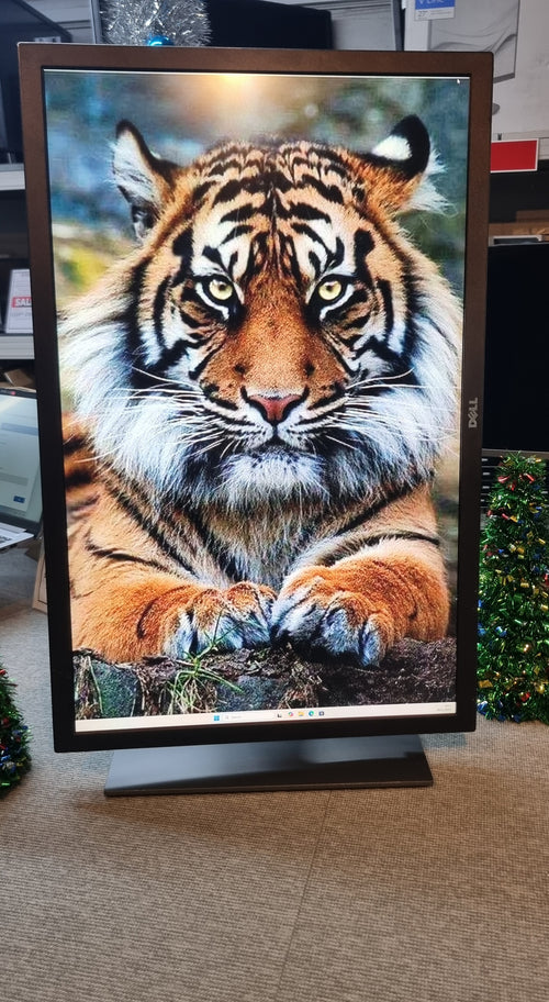 Dell UP3017 Monitor | Black | 30" 2560 x 1600 | HDMI & DisplayPort