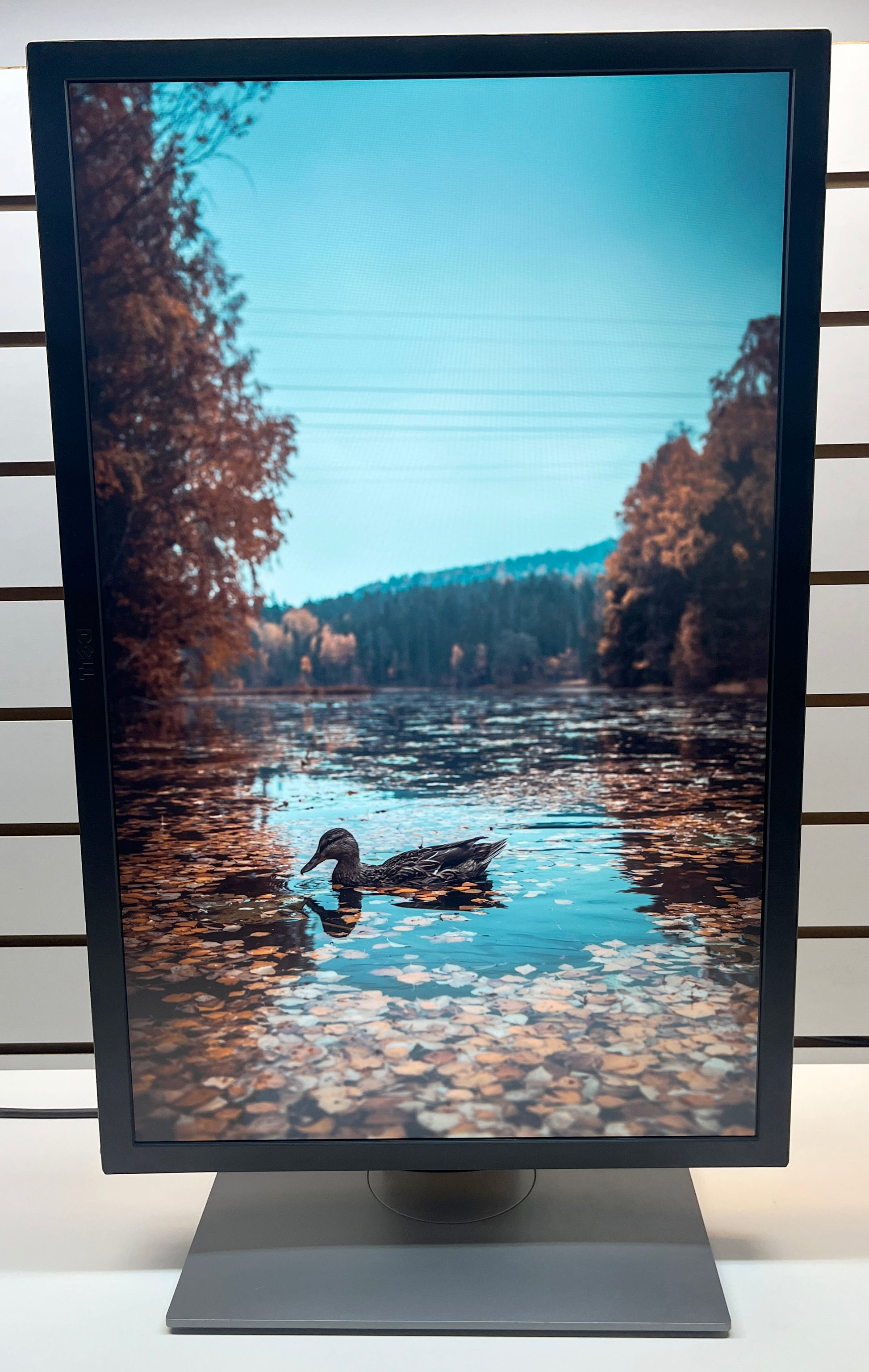 Dell UP3017 Monitor | Black | 30" 2560 x 1600 | HDMI & DisplayPort